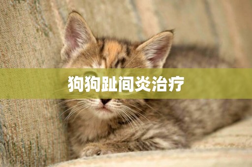 狗狗趾間炎治療