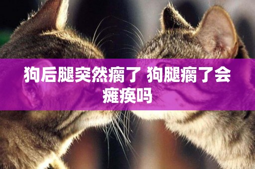 狗后腿突然瘸了 狗腿瘸了會癱瘓嗎