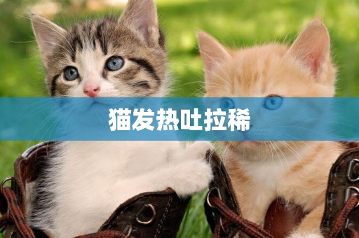 貓發熱吐拉稀