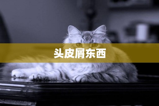頭皮屑東西