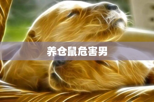 養倉鼠危害男