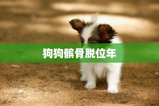 狗狗髕骨脫位年