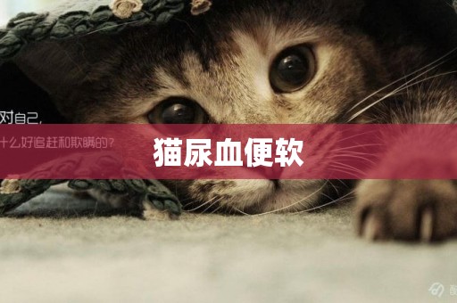 貓尿血便軟