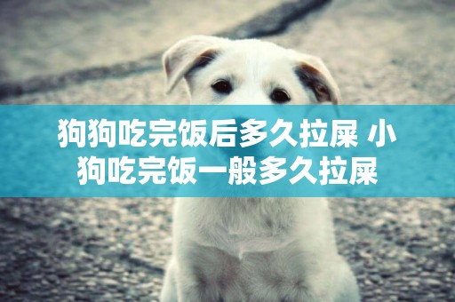 狗狗吃完飯后多久拉屎 小狗吃完飯一般多久拉屎
