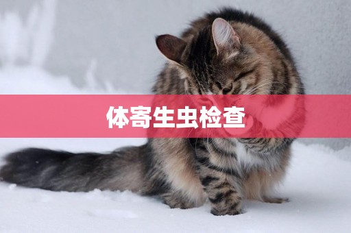 體寄生蟲檢查