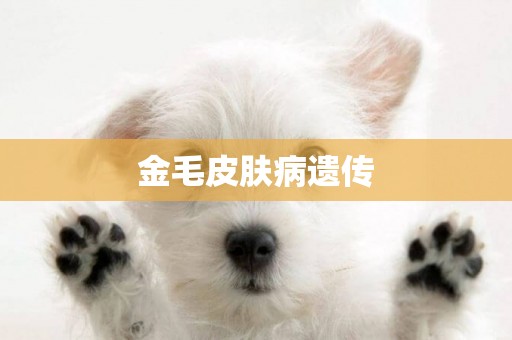 金毛皮膚病遺傳