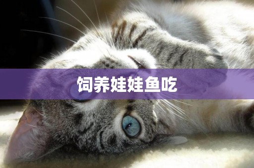 飼養娃娃魚吃