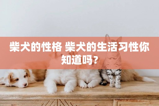 柴犬的性格 柴犬的生活習性你知道嗎？