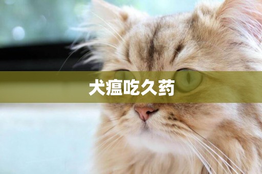 犬瘟吃久藥