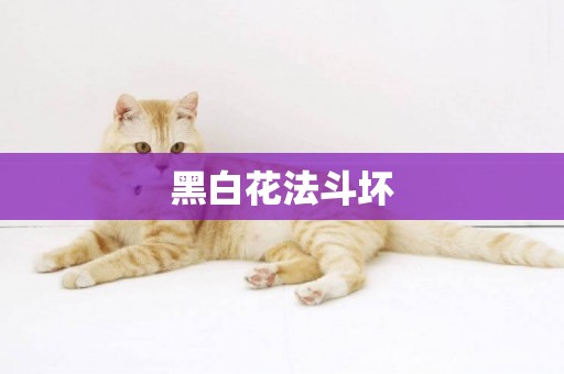 黑白花法斗壞