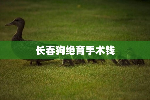 長春狗絕育手術錢