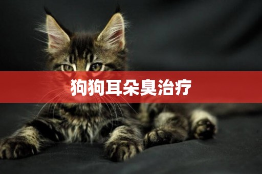 狗狗耳朵臭治療