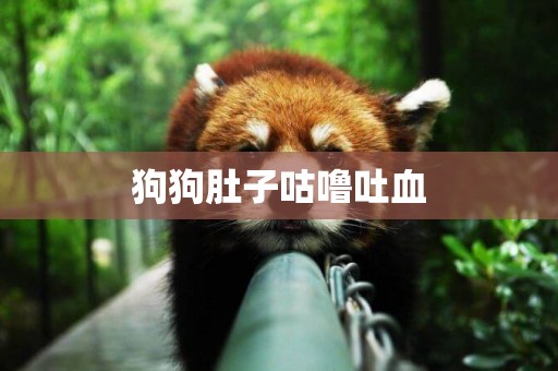 狗狗肚子咕嚕吐血