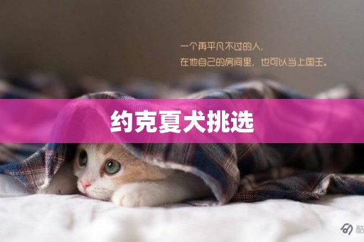 約克夏犬挑選