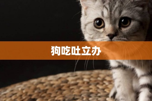 狗吃吐立辦