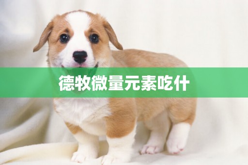 德牧微量元素吃什