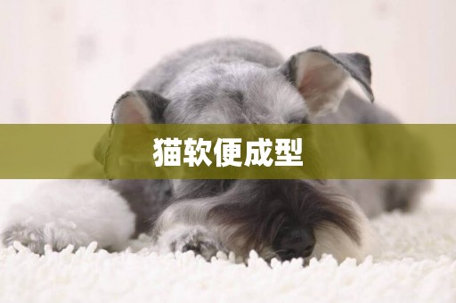 貓軟便成型