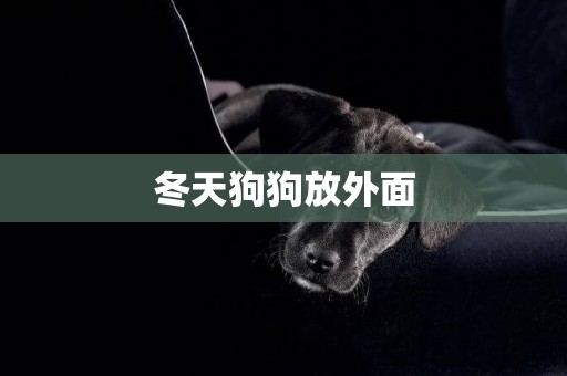 冬天狗狗放外面
