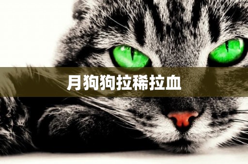 月狗狗拉稀拉血
