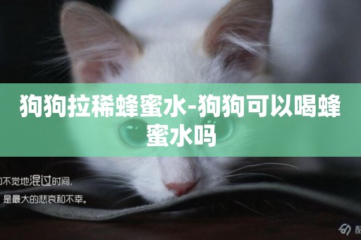狗狗拉稀蜂蜜水-狗狗可以喝蜂蜜水嗎
