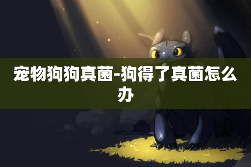 寵物狗狗真菌-狗得了真菌怎么辦