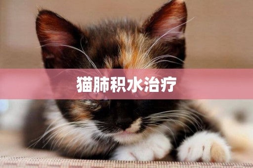 貓肺積水治療