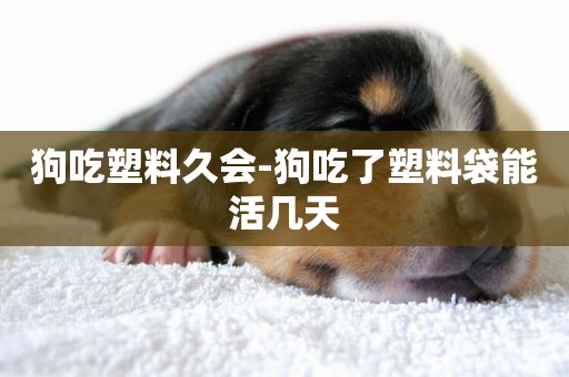 狗吃塑料久會-狗吃了塑料袋能活幾天