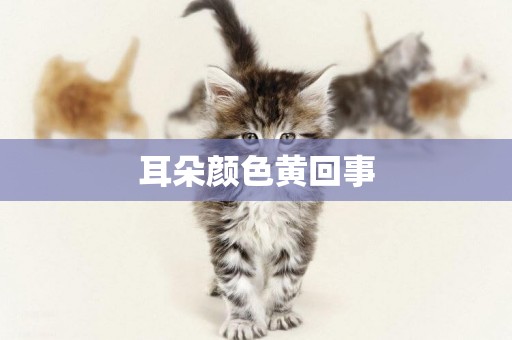 耳朵顏色黃回事