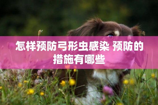 怎樣預防弓形蟲感染 預防的措施有哪些