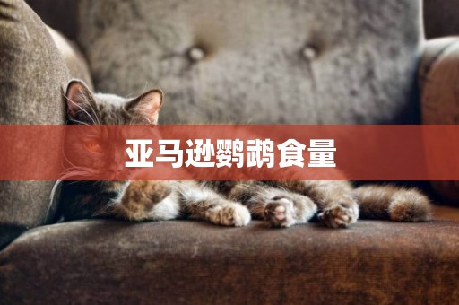 亞馬遜鸚鵡食量