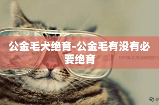 公金毛犬絕育-公金毛有沒有必要絕育