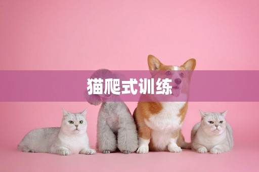 貓爬式訓練