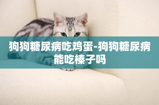 狗狗糖尿病吃雞蛋-狗狗糖尿病能吃榛子嗎