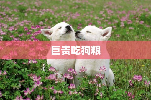 巨貴吃狗糧