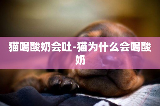 貓喝酸奶會吐-貓為什么會喝酸奶