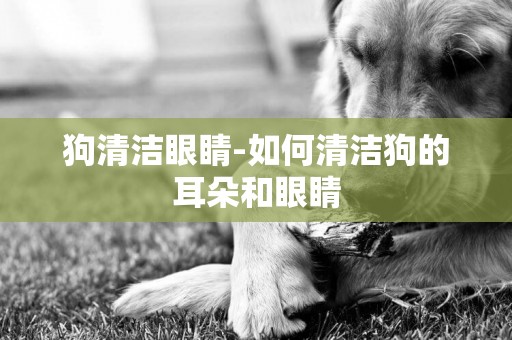 狗清潔眼睛-如何清潔狗的耳朵和眼睛