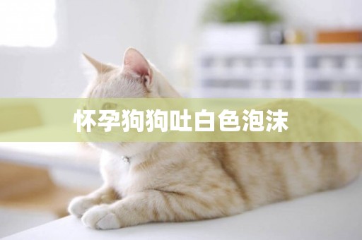 懷孕狗狗吐白色泡沫