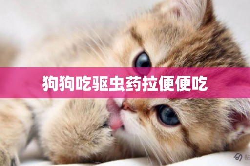 狗狗吃驅蟲藥拉便便吃
