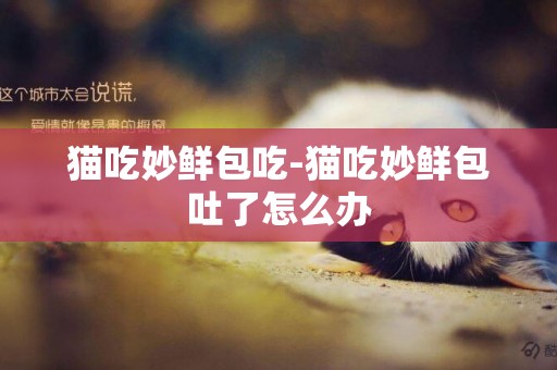 貓吃妙鮮包吃-貓吃妙鮮包吐了怎么辦