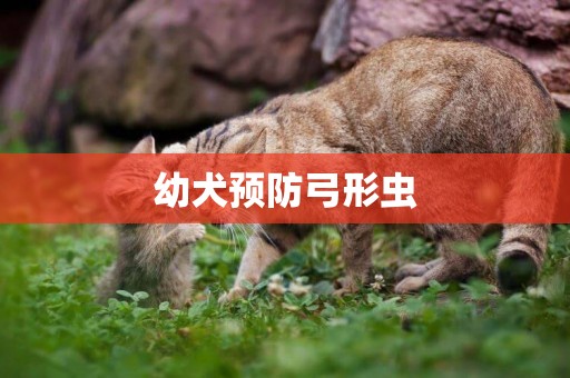 幼犬預防弓形蟲