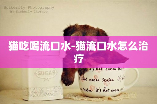 貓吃喝流口水-貓流口水怎么治療