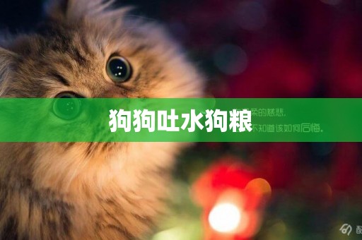 狗狗吐水狗糧