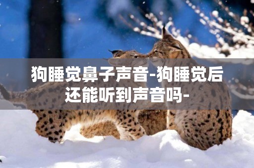 狗睡覺鼻子聲音-狗睡覺后還能聽到聲音嗎-