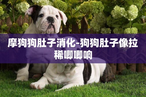 摩狗狗肚子消化-狗狗肚子像拉稀唧唧響