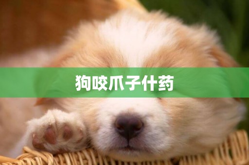 狗咬爪子什藥