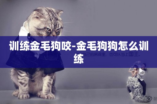 訓練金毛狗咬-金毛狗狗怎么訓練