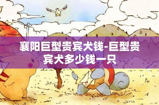 襄陽巨型貴賓犬錢-巨型貴賓犬多少錢一只