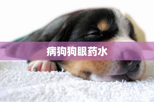 病狗狗眼藥水