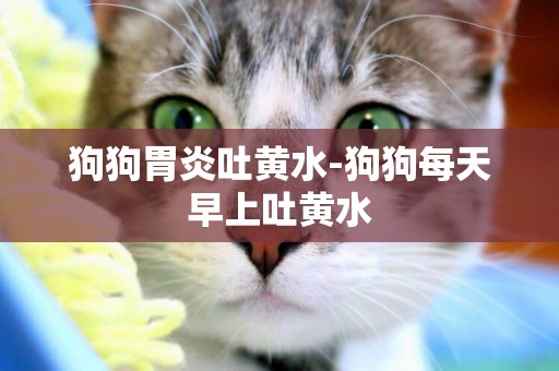 狗狗胃炎吐黃水-狗狗每天早上吐黃水