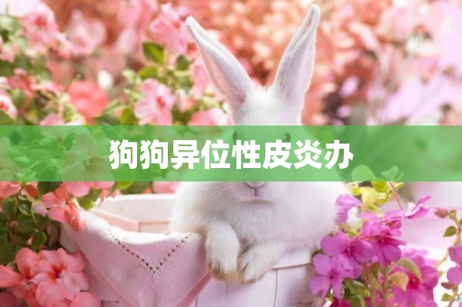 狗狗異位性皮炎辦